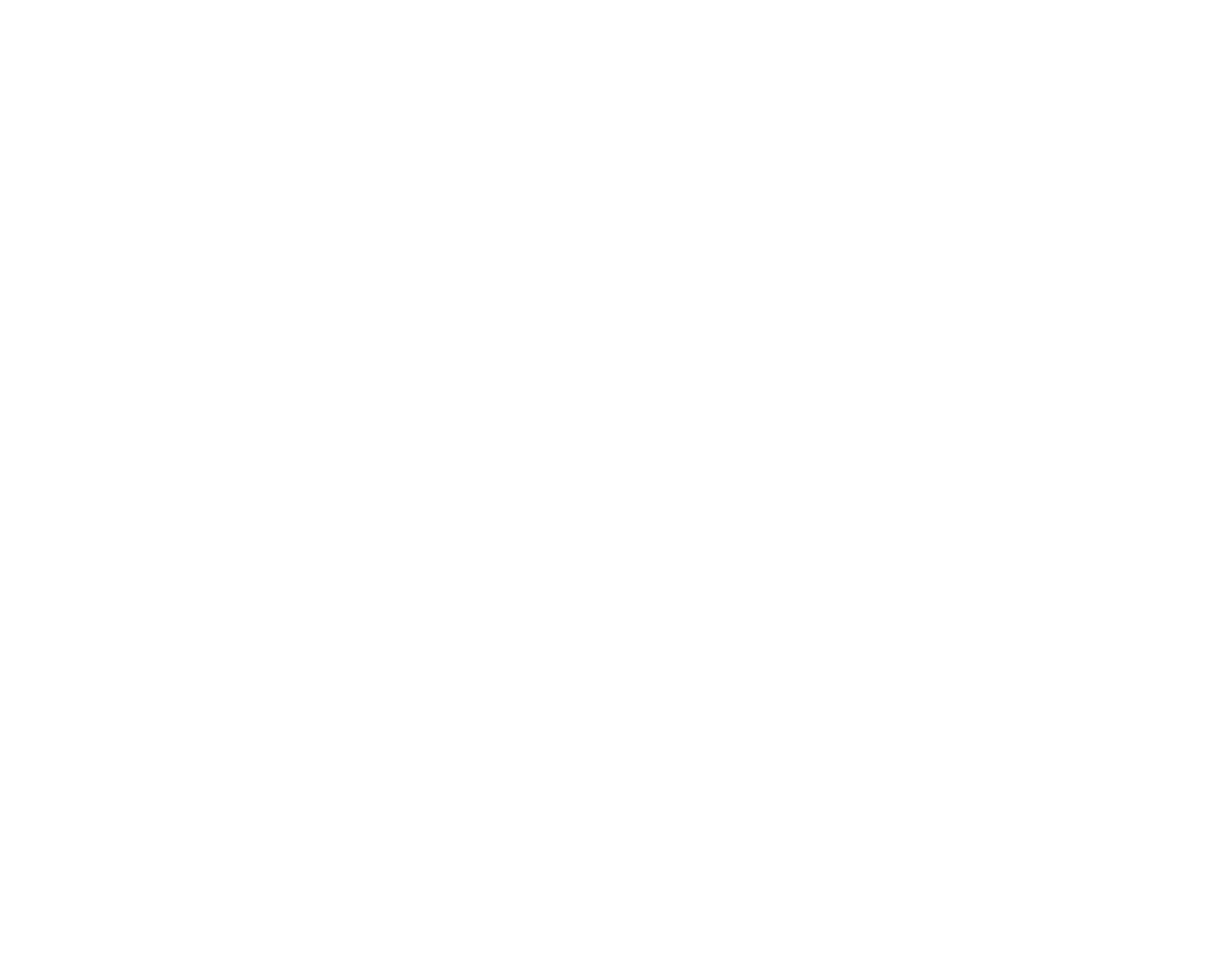 The Big Savannah Toy Drive